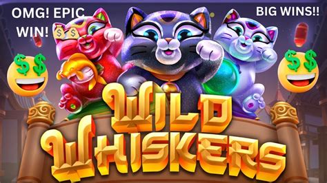 Whisker wins casino apostas